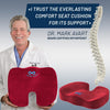 Everlasting Comfort Doctor Recommended Memory Foam Seat Cushion for Office Chairs & Car Seat - Ergonomic Office Desk Accessories for Tailbone Pain Relief, Sciatica & Back Support