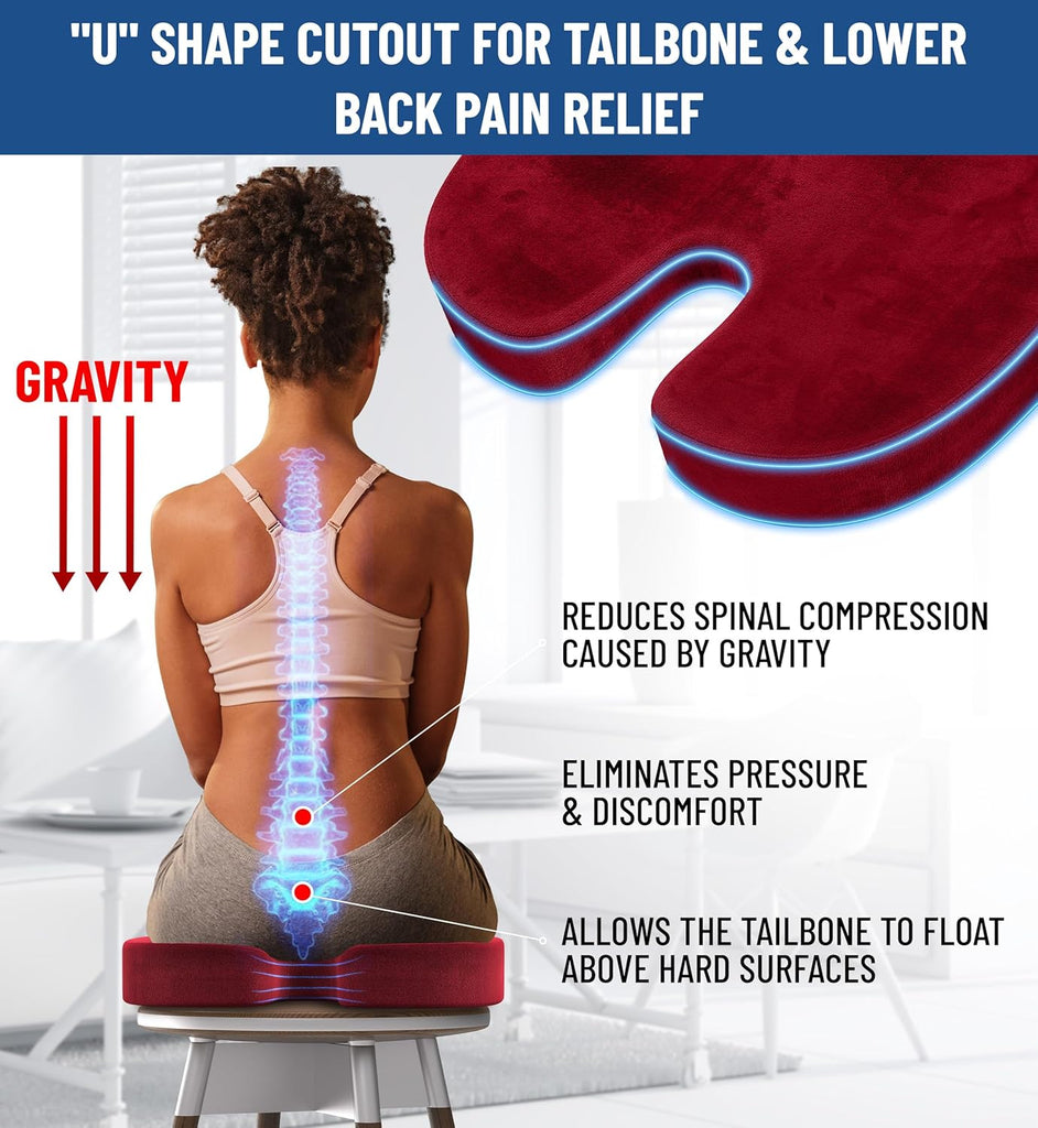 Everlasting Comfort Doctor Recommended Memory Foam Seat Cushion for Office Chairs & Car Seat - Ergonomic Office Desk Accessories for Tailbone Pain Relief, Sciatica & Back Support