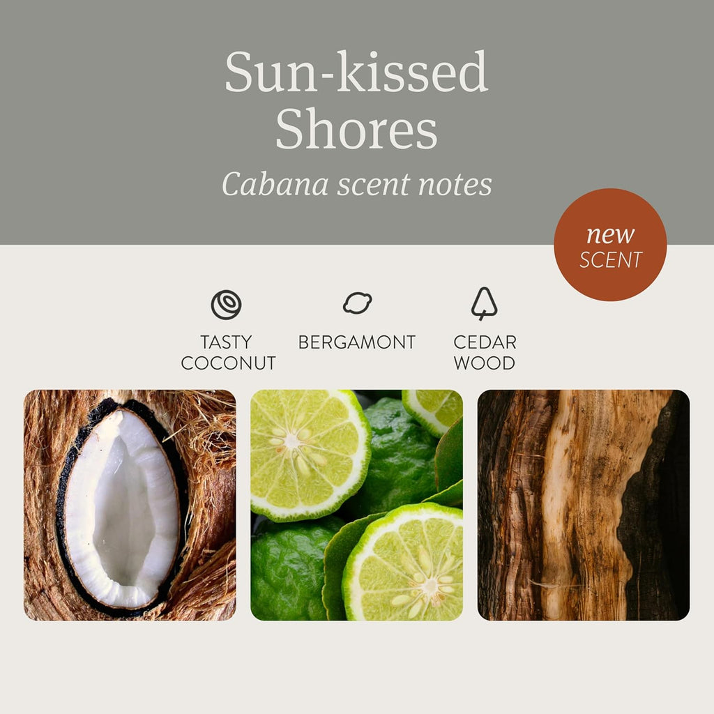 Drift Car Air Freshener - Stone Air Freshener - Car Odor Eliminator - Open Air Scent Starter Kit