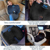 Everlasting Comfort Doctor Recommended Memory Foam Seat Cushion for Office Chairs & Car Seat - Ergonomic Office Desk Accessories for Tailbone Pain Relief, Sciatica & Back Support