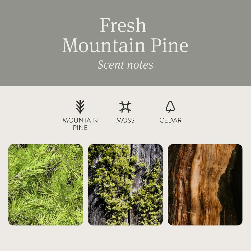 Drift Car Air Freshener - Stone Air Freshener - Car Odor Eliminator - Open Air Scent Starter Kit