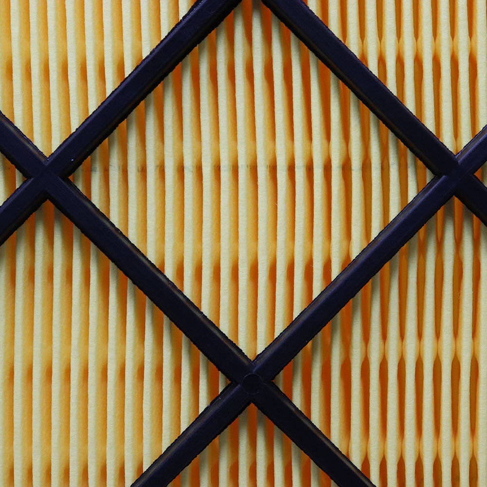 Air Filter Prime Guard PAF6163