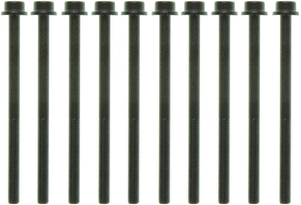 Engine Cylinder Head Bolt Set for Ecosport, Edge, Escape, Explorer+More GS33489