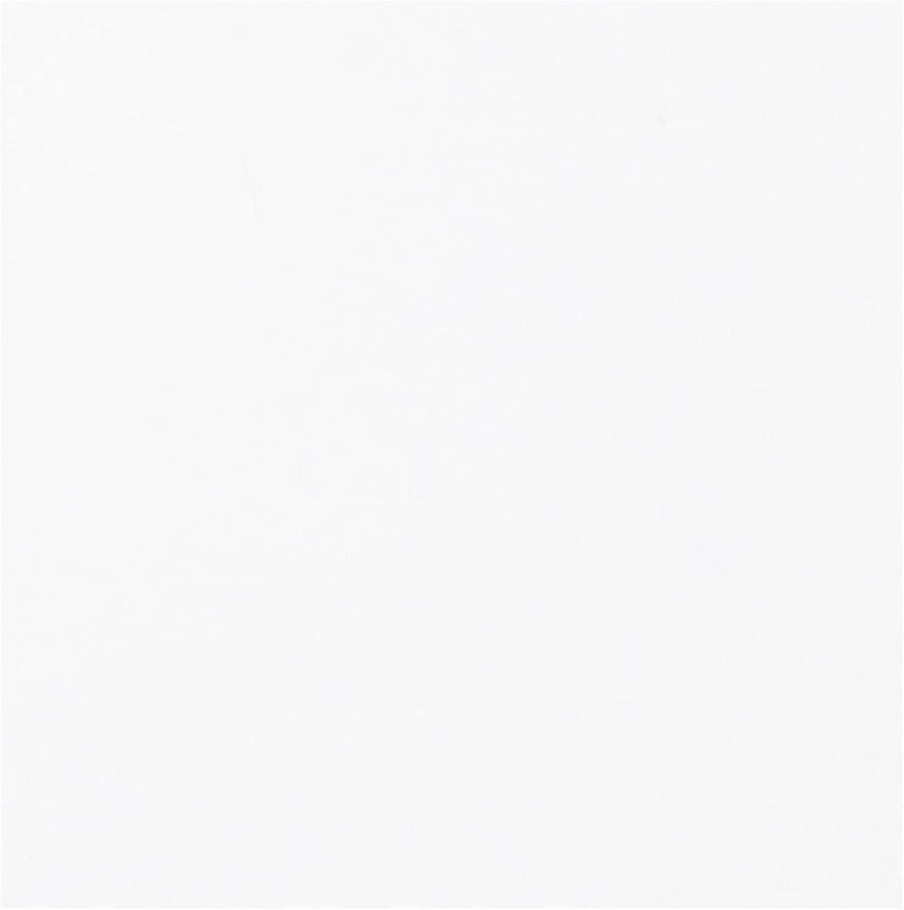 453-6001 Cabin Air Filter