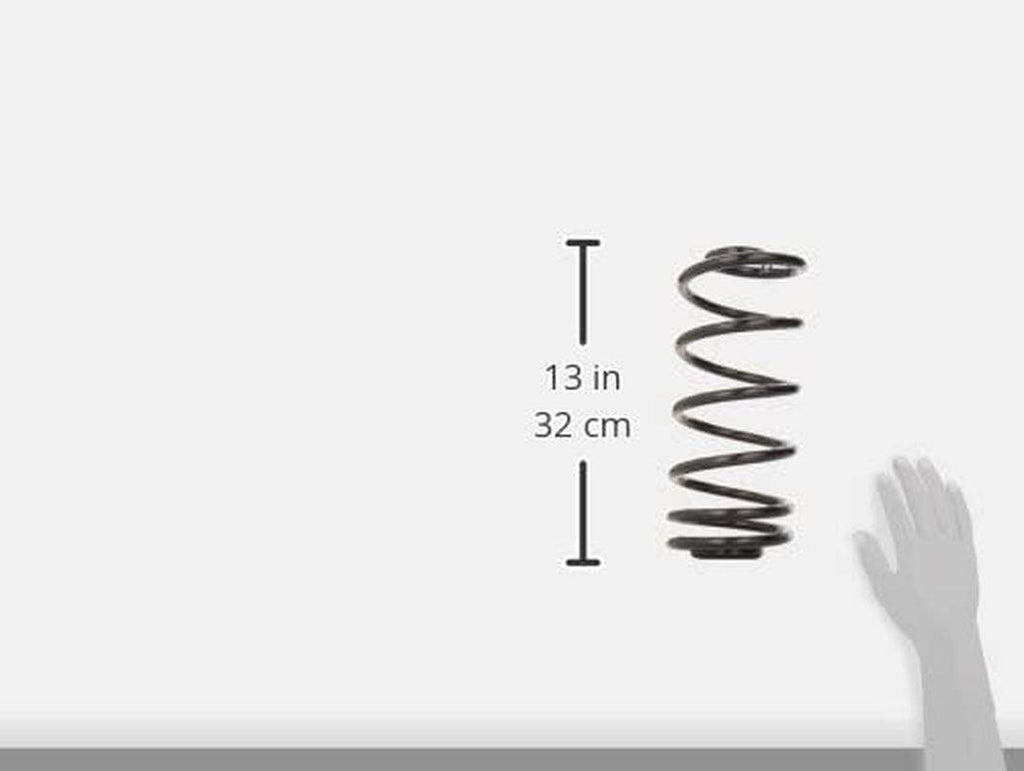 MOOG CC81065 Coil Spring Set