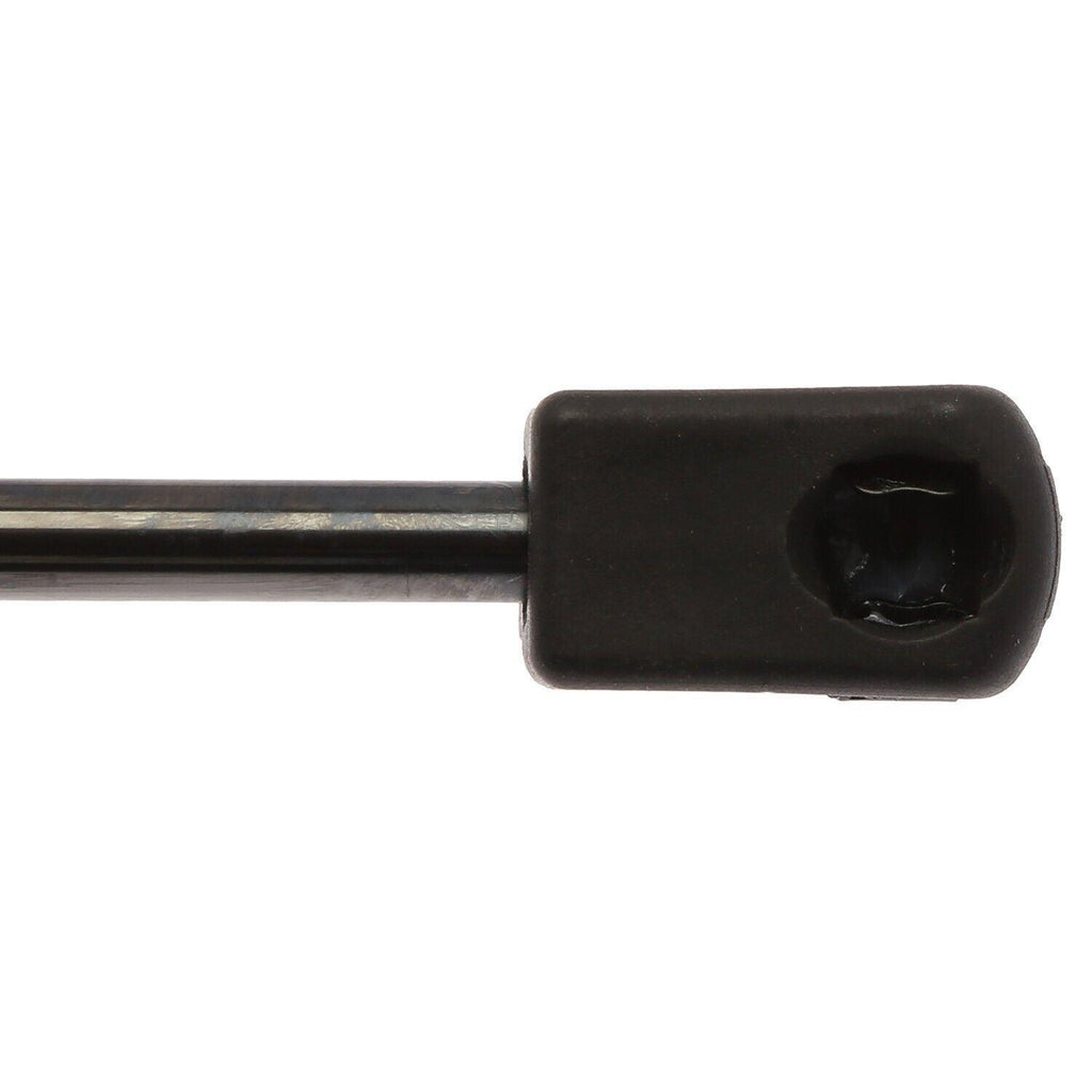 Strongarm Back Glass Lift Support for Escape, Tribute, Mariner 6260