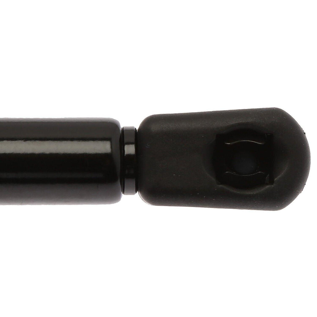 Strongarm Back Glass Lift Support for Escape, Tribute, Mariner 6260