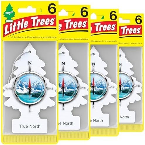 LITTLE TREES Air Fresheners Car Air Freshener. Hanging Tree Provides Long Lasting Scent for Auto or Home. Black Ice, 24 Air Fresheners