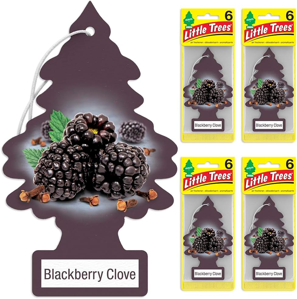 LITTLE TREES Air Fresheners Car Air Freshener. Hanging Tree Provides Long Lasting Scent for Auto or Home. Black Ice, 24 Air Fresheners