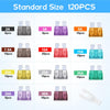 JOREST 300Pcs Car Fuse Assortment Kit, 160 Mini Blade Fuses Automotive + 90 Standard Auto Fuses + 50 Micro + Puller – Replacement for RV Camper Boat Truck (2Amp 3A 5A 7.5A 10A 15A 20A 25A 30A 35A 40A)