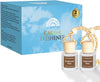 HoogaLife Car Air Freshener Diffuser 2 Pack Hanging Air Freshener Diffuser - Vanilla Cream Fragrance Oil Air D iffuser for Car, 45+ days Long Lasting Fragrance Made in USA C ar Air Fresheners