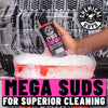 Chemical Guys Mr. Pink Foaming Car Wash Soap, High-Suds pH-Balanced Car Shampoo, Safe for Wax & Sealants, Works with Foam Cannons & Bucket Wash, Safe on All Paint Finishes, 16 oz, Candy Scent