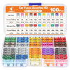 JOREST 300Pcs Car Fuse Assortment Kit, 160 Mini Blade Fuses Automotive + 90 Standard Auto Fuses + 50 Micro + Puller – Replacement for RV Camper Boat Truck (2Amp 3A 5A 7.5A 10A 15A 20A 25A 30A 35A 40A)
