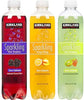 Kirkland Signature Flavored Sparkling Water Variety Club Pack - 24 Ct. (17 Oz.)