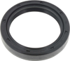 Camshaft Seal  BCA Bearing  NS223801