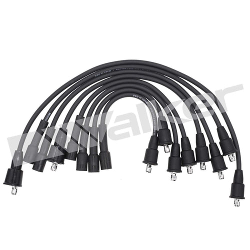 Spark Plug Wire Set for B150, B250, D100, D150, D250, W100, W150+More 924-1343