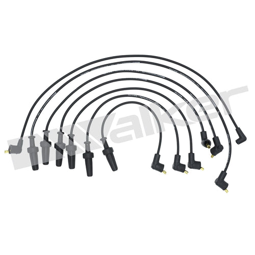 Walker Spark Plug Wire Set for Monaco, Premier 924-1319