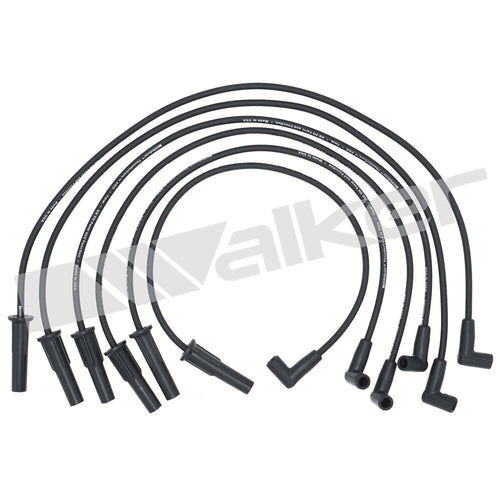 Walker Spark Plug Wire Set for Firebird, Regal 924-1333