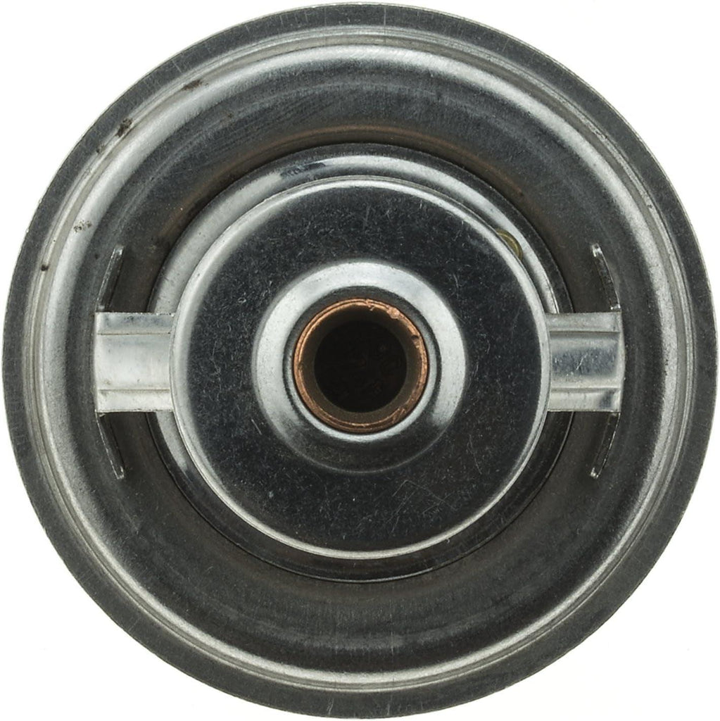 246-174 Thermostat