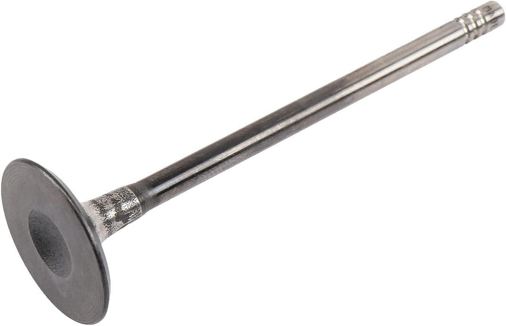 55568831 Engine Intake Valve