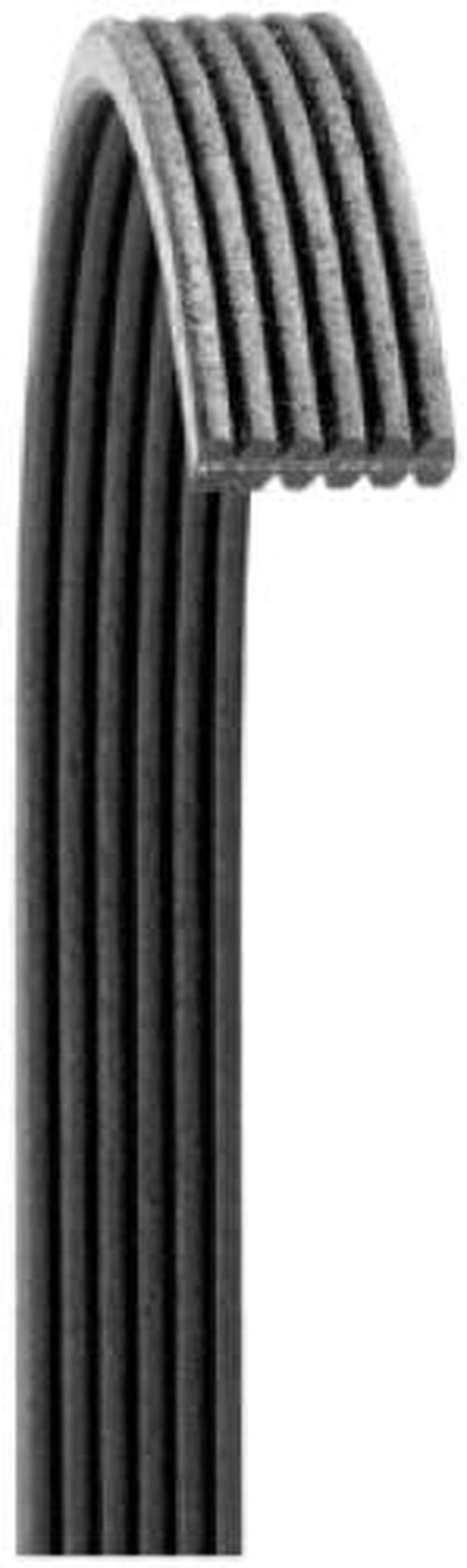 6060861 V-Ribbed Belt