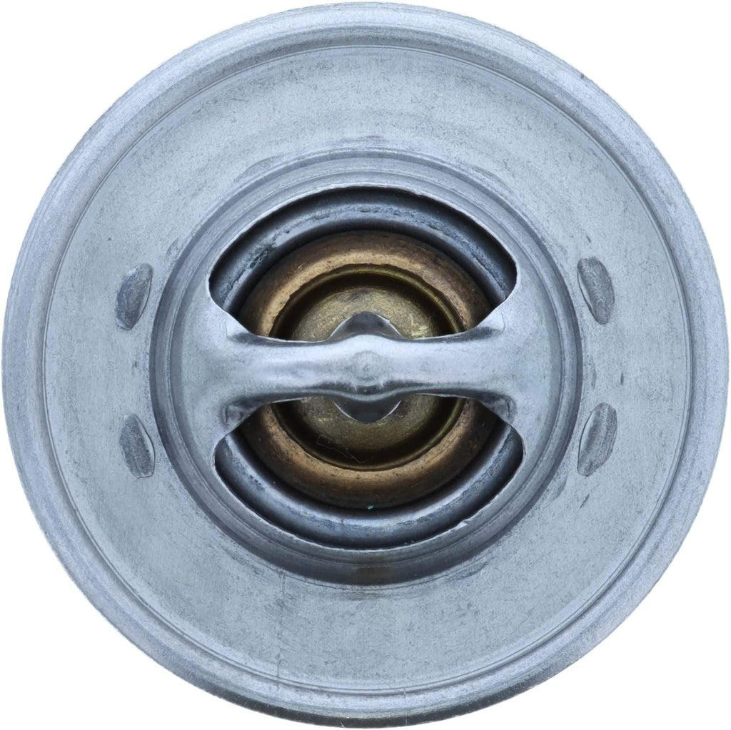 -13779 OE Type Thermostat,Stainless Steel