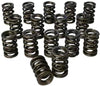 98884: Pacaloy Dual 1.564 Valve Spring Set