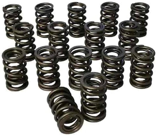 98884: Pacaloy Dual 1.564 Valve Spring Set