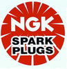 7102 Spark Plug