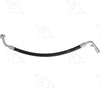 56814 Hose Assembly