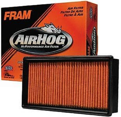 PPA9838 Air Hog Panel Filter