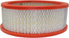 Extra Guard CA146 Replacement Engine Air Filter for Select Dodge, Chrysler and Plymouth Models, Provides up to 12 Months or 12,000 Miles Filter Protection
