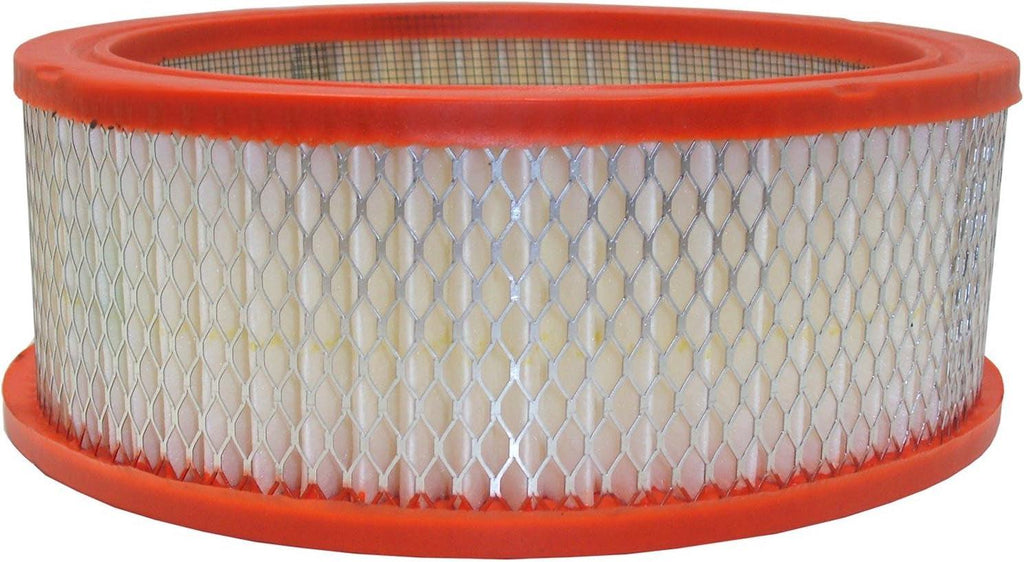 Extra Guard CA146 Replacement Engine Air Filter for Select Dodge, Chrysler and Plymouth Models, Provides up to 12 Months or 12,000 Miles Filter Protection