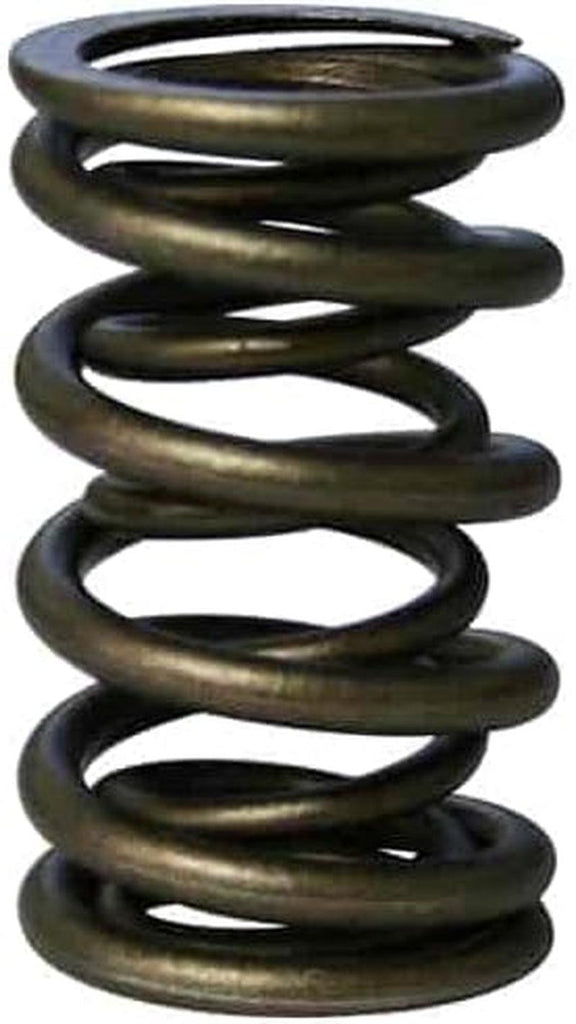 98884: Pacaloy Dual 1.564 Valve Spring Set