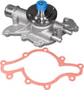 Professional 252-486 Water Pump Kit
