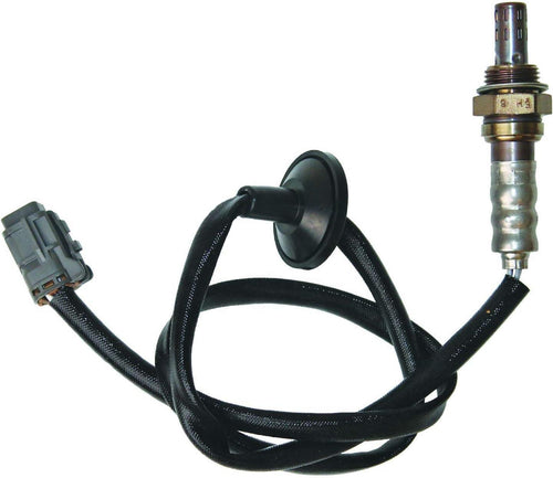 250-241146 O2 Sensor (4-W Direct Fit)