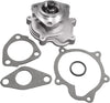 Professional 252-667 Water Pump Kit