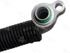 56079 Suction Line Hose Assembly