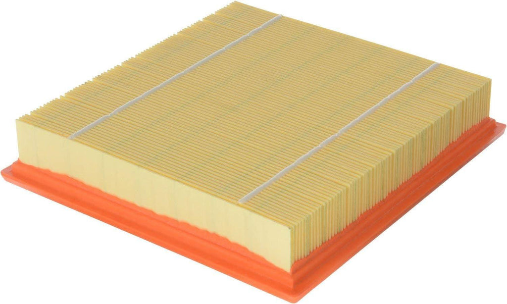 CA10262 Extra Guard Air Filter