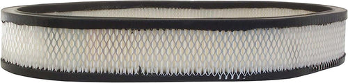 GM Original Equipment A862C Air Filter