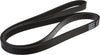Gold 6K910 Standard V-Ribbed Serpentine Belt