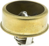 238-160 Thermostat