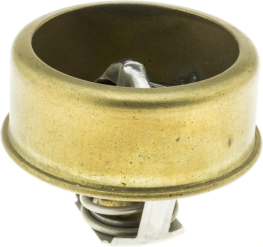 238-160 Thermostat