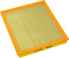 FRAM Air Filter