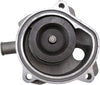 131-1981 Water Pump