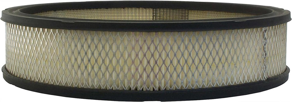 Gold A2843C Air Filter
