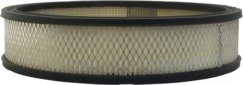 Gold A2843C Air Filter
