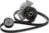 Gold ACK060908 V-Ribbed Serpentine Belt