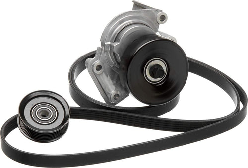 Gold ACK060908 V-Ribbed Serpentine Belt