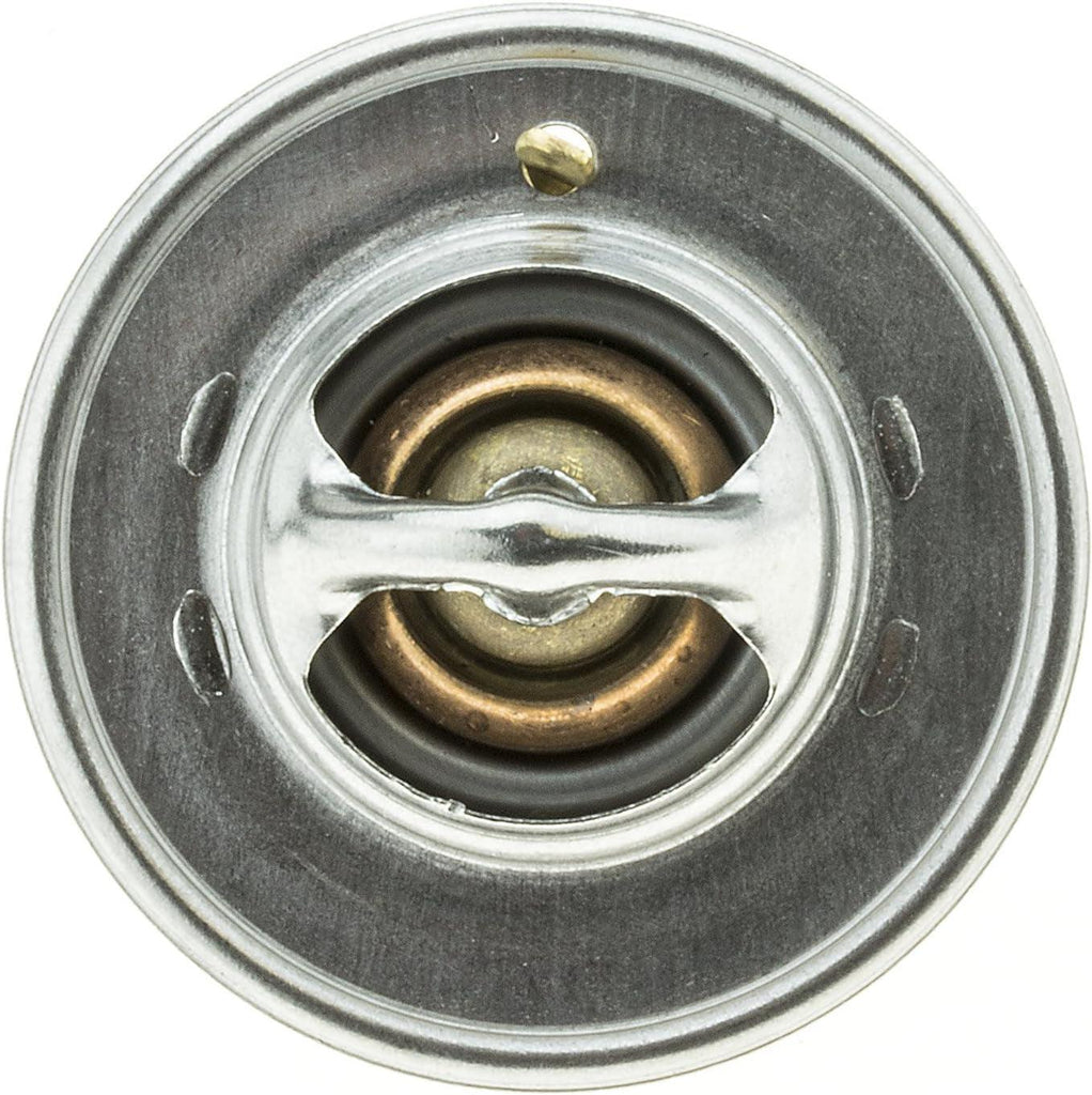 200-195JV Thermostat